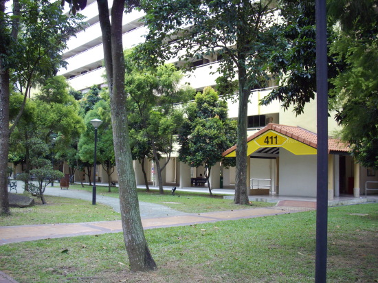 Blk 411 Pandan Gardens (Jurong East), HDB 3 Rooms #367222